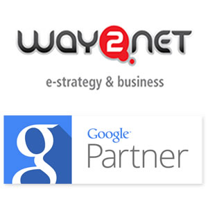 Way2net Google Partner