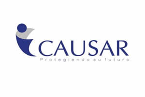 logo-causar-consultores