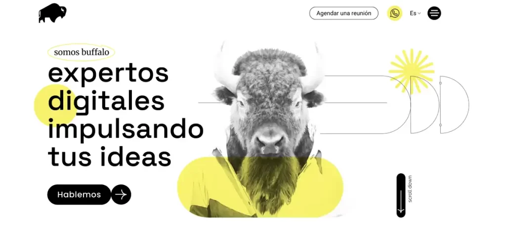 agencia buffalo